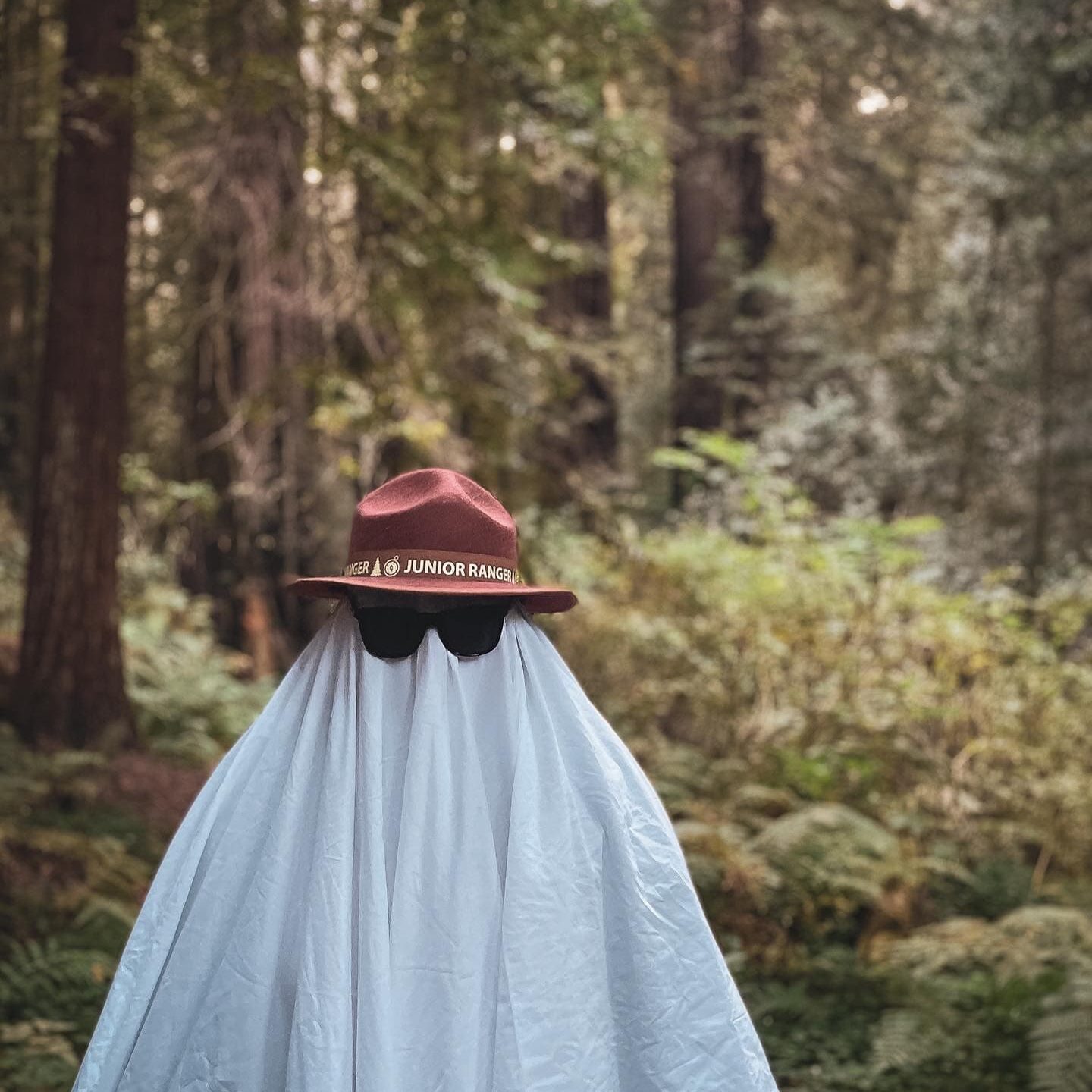 20E15B63-3CCE-4416-BABF-2A073B438315