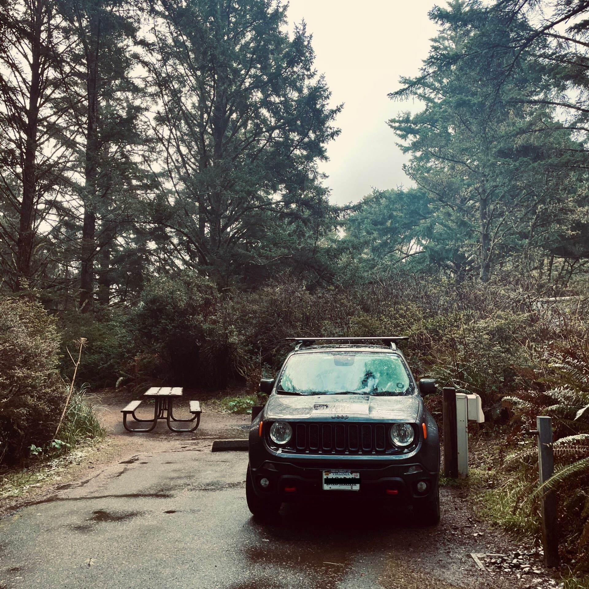 74B5F57C-C453-4FE4-9FF8-46C1AA7C43A7_1_201_a