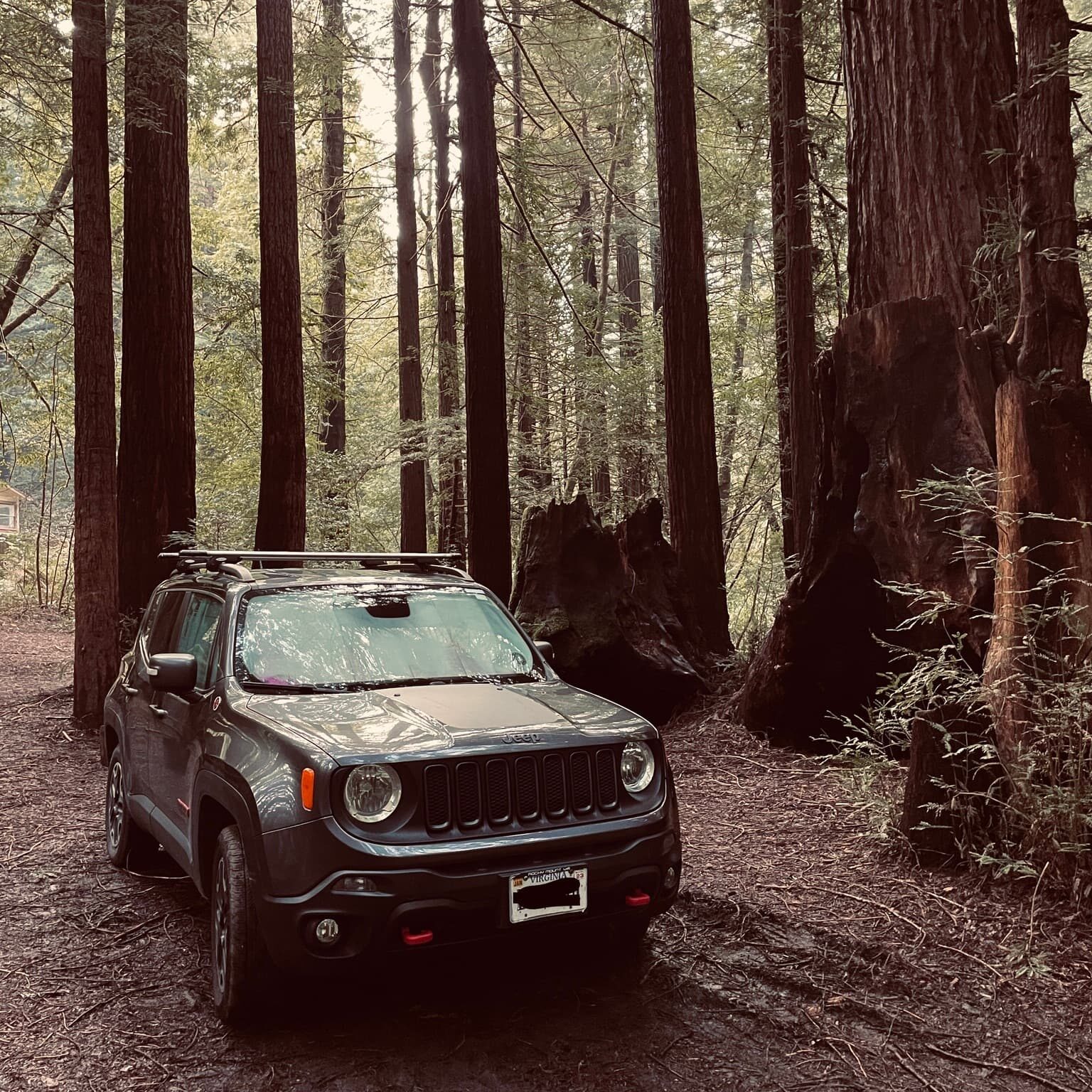 C9F1DD86-C754-47CD-8476-18AA587AD4AE_1_102_a